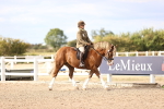 SBM_18146
