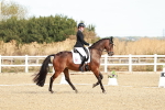 SBM_008664