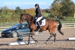 BPP_8019