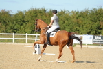 SBM_002207