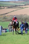 Race 2: Restricted portfolio