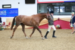 SBM_09812