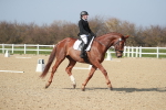 SBM_008547