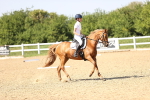 SBM_010192