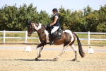 SBM_009426