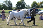 WJ6_4910
