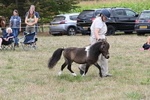WJ6_5690