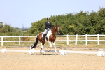 SBM_010523