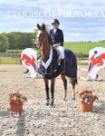 BPP_5333