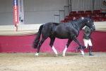 SBM_06547