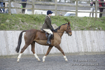 BVRC 050320 0166