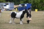 WJ6_6477