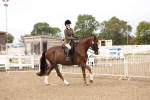SBM_02816