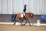 SBM_007491