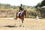 SBM_000778