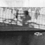 Chasing Shadows 04