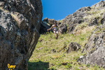 Coniston Senior-1