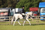 SBM_12297