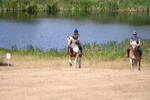WJ6_9184