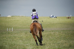 BVHT 140517  NXC -210