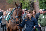 161125-Race 6-The Mad Poet-1871