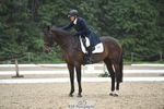 237-Sue_Lanz-Wellshead_Foxtrot portfolio