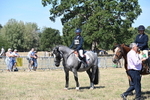 WJ6_8462