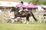 SBM_09203