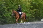 WJ5_9343