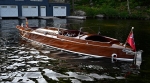Whippet23-3100