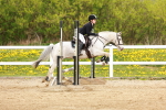 SBM_004240