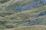 Ingleborough-14