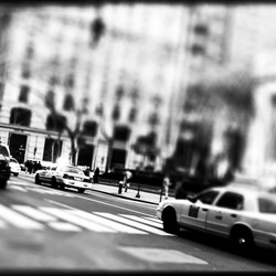 New York portfolio