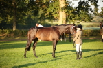 SBM_56888