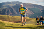 Sale Fell-498