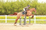 SBM_004727
