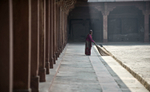 Columns of dust
