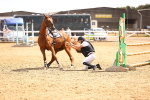 SBM_000916