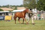 SBM_09094