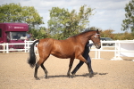 SBM_23405