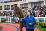 151125-Race 4-Es Perfecto-3165