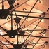 Trusses in Light