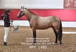 BPP_1380