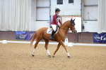 SBM_002628