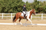 SBM_001596