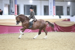 SBM_08930