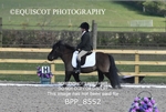 BPP_8552