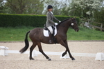 Class 9 - Novice 1 portfolio
