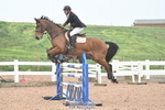 SAT Cls 15 Foxhunter and 1.20m Open portfolio
