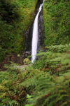 Dartmoor _ DR 30